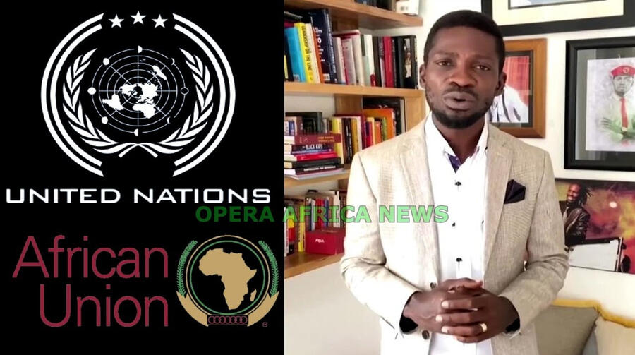 Freedom is coming, Support $BOBIWINE